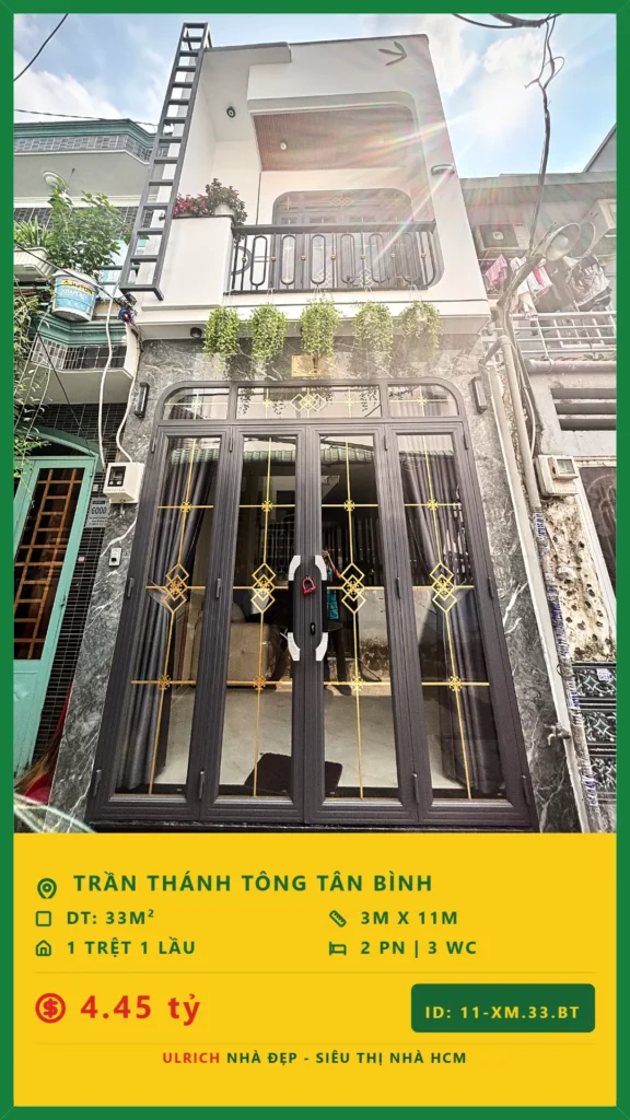 tại Trần Thánh Tông  Tân Sơn Tân Bình